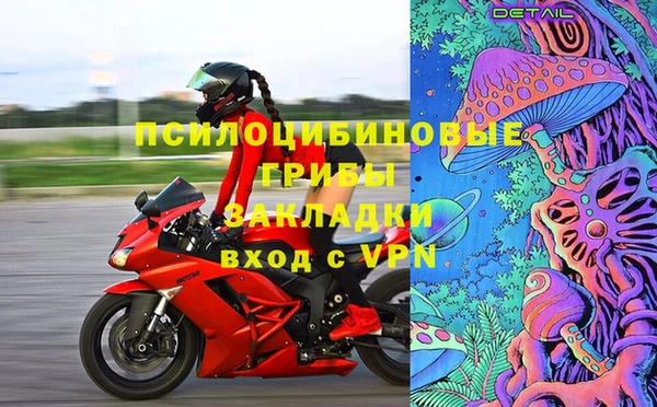 шишки Алзамай
