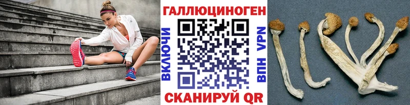 что такое наркотик  Калтан  Псилоцибиновые грибы мицелий 